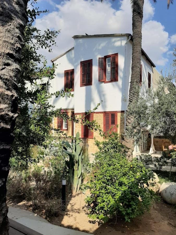 Palm Garden Guest House Никосия Экстерьер фото