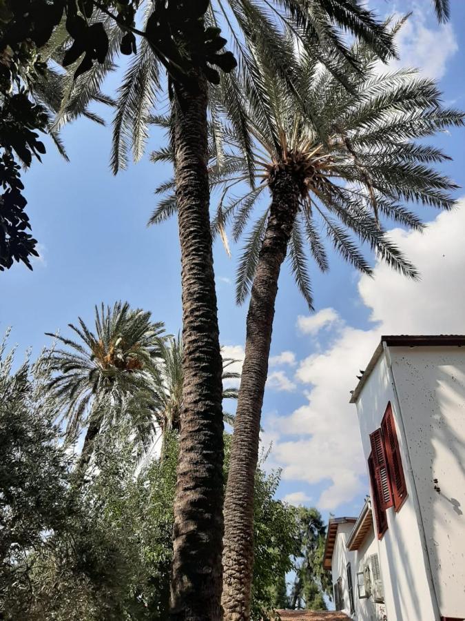 Palm Garden Guest House Никосия Экстерьер фото