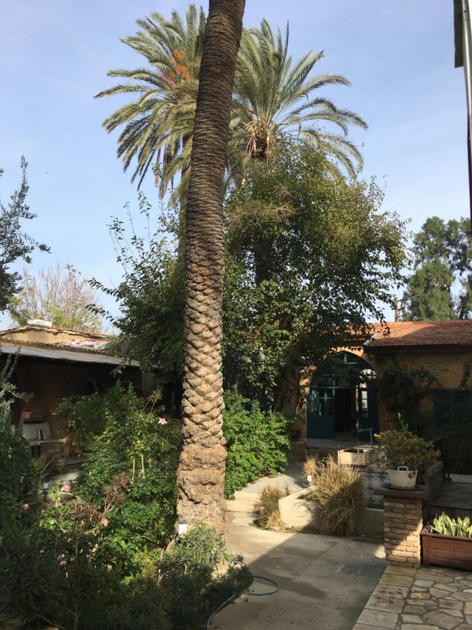 Palm Garden Guest House Никосия Экстерьер фото